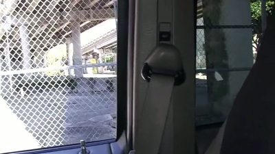 Hawt comprehensive with lovely pest enjoys being