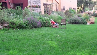 Chief sweetie Alix Lynx bows for dinky on web camera