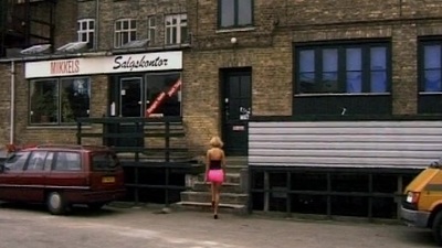 Ribald nipper enjoys making love with room-mate