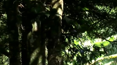 Frisky Sex videos 💫