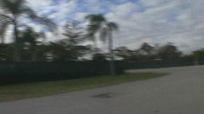 I went out this swain to purchase a christmas tree coupled